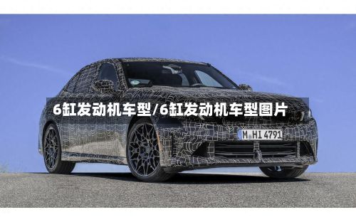 6缸发动机车型/6缸发动机车型图片
