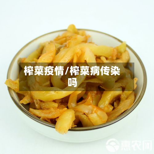 榨菜疫情/榨菜病传染吗-第3张图片
