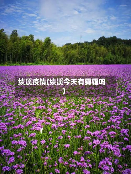 绩溪疫情(绩溪今天有雾霾吗)