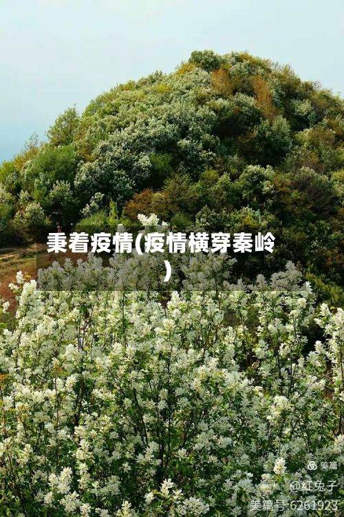 秉着疫情(疫情横穿秦岭)