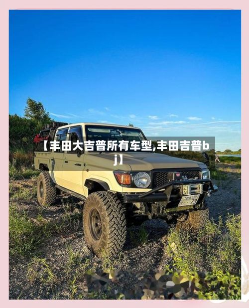 【丰田大吉普所有车型,丰田吉普bj】