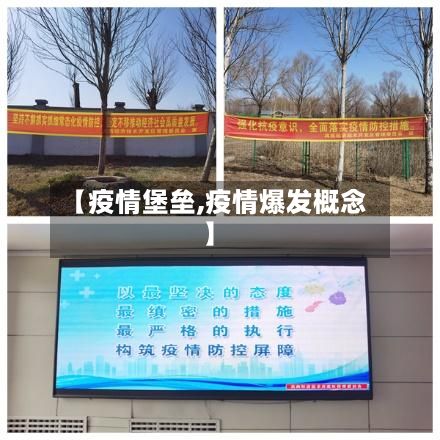 【疫情堡垒,疫情爆发概念】-第3张图片