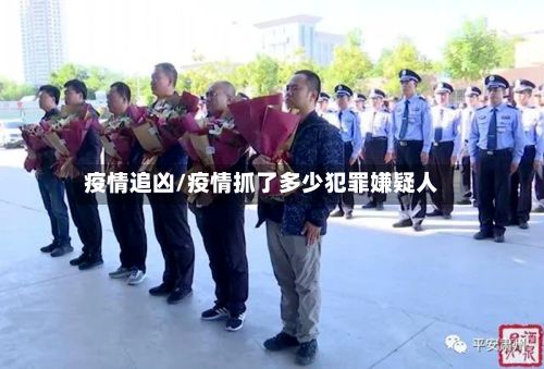 疫情追凶/疫情抓了多少犯罪嫌疑人-第2张图片