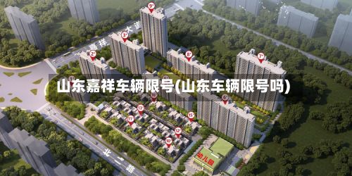 山东嘉祥车辆限号(山东车辆限号吗)-第3张图片