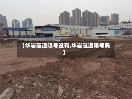 【华岩隧道限号没有,华岩隧道限号吗】-第2张图片