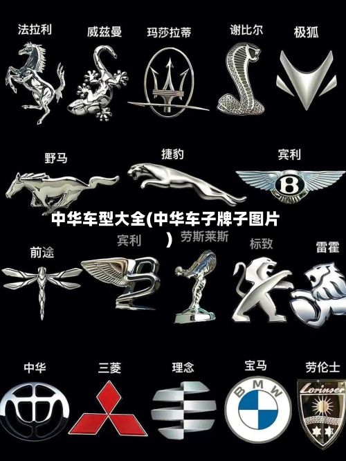 中华车型大全(中华车子牌子图片)-第2张图片