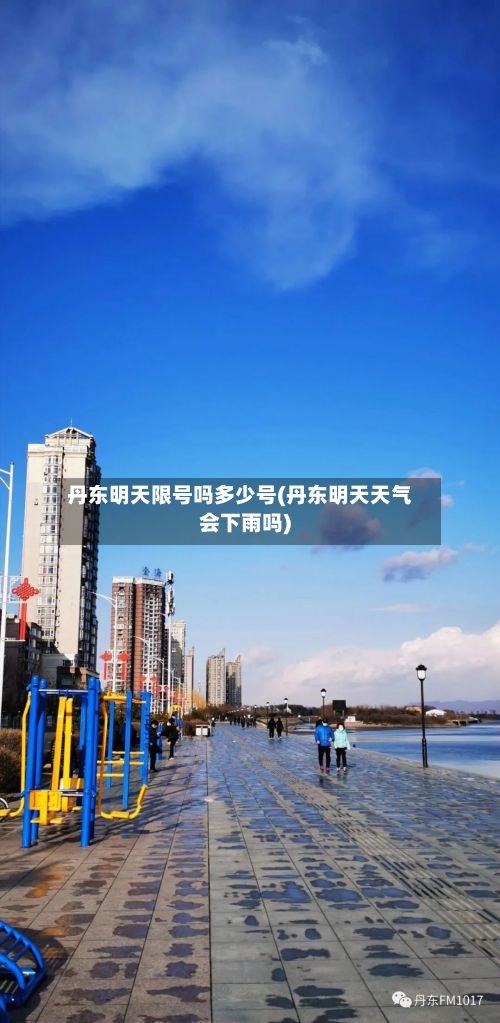 丹东明天限号吗多少号(丹东明天天气会下雨吗)-第2张图片